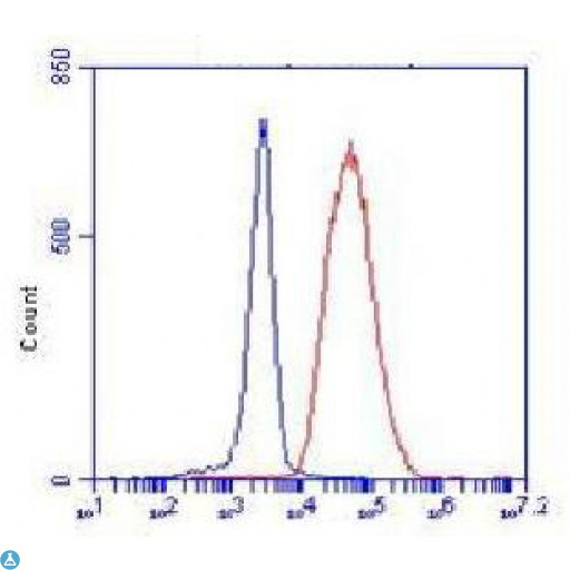 CHD3 Antibody - Flow cytometric (FCM) analysis of K562 cells stained with Mi2-alpha Monoclonal Antibody (red), followed by FITC-conjugated goat anti-mouse IgG. Blue line histogram represents the isotype control, normal mouse IgG.