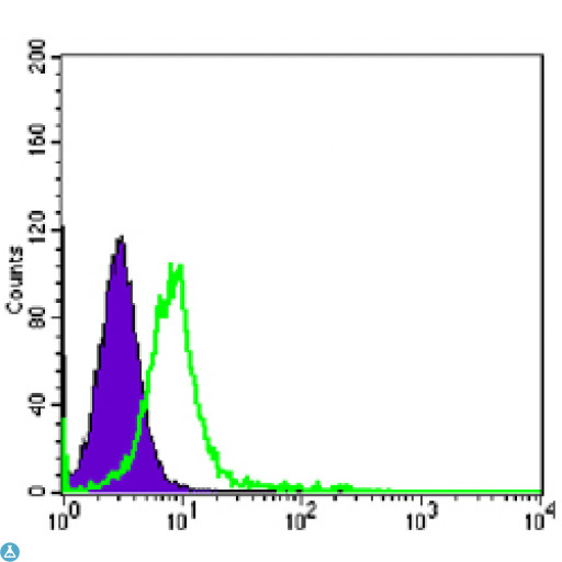 CHD3 Antibody - Flow cytometric (FCM) analysis of K562 cells using Mi2-alpha Monoclonal Antibody (green) and negative control (purple).