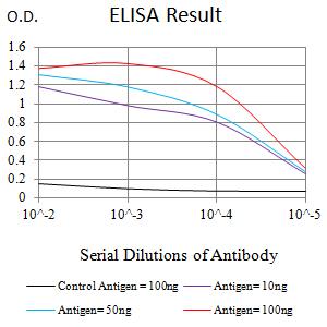 CHD4 Antibody - Black line: Control Antigen (100 ng);Purple line: Antigen (10ng); Blue line: Antigen (50 ng); Red line:Antigen (100 ng)