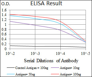 CHGA / Chromogranin A Antibody - Red: Control Antigen (100ng); Purple: Antigen (10ng); Green: Antigen (50ng); Blue: Antigen (100ng);