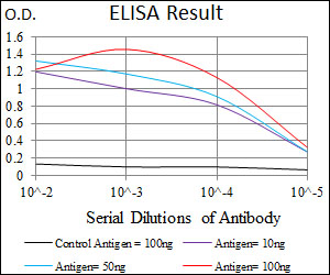 CHGA / Chromogranin A Antibody - Red: Control Antigen (100ng); Purple: Antigen (10ng); Green: Antigen (50ng); Blue: Antigen (100ng);