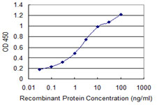 CHGA / Chromogranin A Antibody - Detection limit for recombinant GST tagged CHGA is 0.03 ng/ml as a capture antibody.