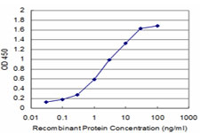 CHML Antibody - Detection limit for recombinant GST tagged CHML is approximately 0.1 ng/ml as a capture antibody.