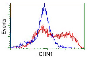 CHN1 Antibody - HEK293T cells transfected with either overexpress plasmid (Red) or empty vector control plasmid (Blue) were immunostained by anti-CHN1 antibody, and then analyzed by flow cytometry.