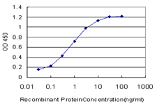 CHRM2 / M2 Antibody - Detection limit for recombinant GST tagged CHRM2 is approximately 0.03 ng/ml as a capture antibody.