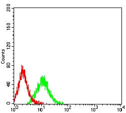 CHRM3 / M3 Antibody - Flow cytometric analysis of Jurkat cells using CHRM3 mouse mAb (green) and negative control (red).