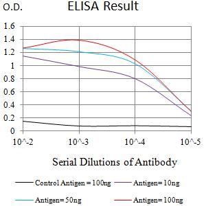 CHRM5 / M5 Antibody - Black line: Control Antigen (100 ng);Purple line: Antigen (10ng); Blue line: Antigen (50 ng); Red line:Antigen (100 ng)