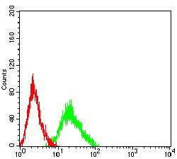 CHRM5 / M5 Antibody - Flow cytometric analysis of HL-60 cells using CHRM5 mouse mAb (green) and negative control (red).