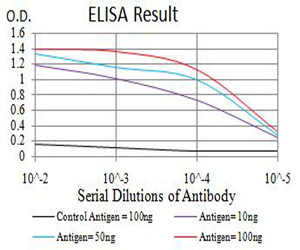 CHRNA3 Antibody - Black line: Control Antigen (100 ng);Purple line: Antigen (10ng); Blue line: Antigen (50 ng); Red line:Antigen (100 ng)