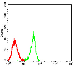 CHRNA3 Antibody - Flow cytometric analysis of SH-SY5Y cells using CHRNA3 mouse mAb (green) and negative control (red).