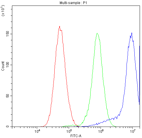 CHRNA3 Antibody - Flow Cytometry analysis of U251 cells using anti-CHRNA3 antibody. Overlay histogram showing U251 cells stained with anti-CHRNA3 antibody (Blue line). The cells were blocked with 10% normal goat serum. And then incubated with rabbit anti-CHRNA3 Antibody (1µg/10E6 cells) for 30 min at 20°C. DyLight®488 conjugated goat anti-rabbit IgG (5-10µg/10E6 cells) was used as secondary antibody for 30 minutes at 20°C. Isotype control antibody (Green line) was rabbit IgG (1µg/10E6 cells) used under the same conditions. Unlabelled sample (Red line) was also used as a control.