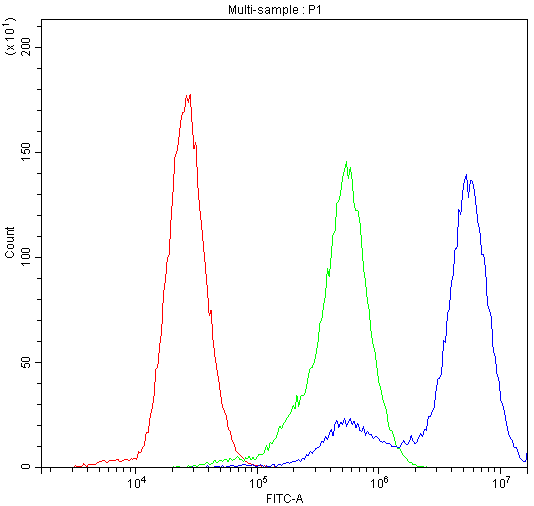 CHRNA3 Antibody - Flow Cytometry analysis of U-87 cells using anti-CHRNA3 antibody. Overlay histogram showing U-87 cells stained with anti-CHRNA3 antibody (Blue line). The cells were blocked with 10% normal goat serum. And then incubated with rabbit anti-CHRNA3 Antibody (1µg/10E6 cells) for 30 min at 20°C. DyLight®488 conjugated goat anti-rabbit IgG (5-10µg/10E6 cells) was used as secondary antibody for 30 minutes at 20°C. Isotype control antibody (Green line) was rabbit IgG (1µg/10E6 cells) used under the same conditions. Unlabelled sample (Red line) was also used as a control.