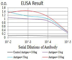 CHRNA4 / NACHR Antibody - Black line: Control Antigen (100 ng);Purple line: Antigen (10ng); Blue line: Antigen (50 ng); Red line:Antigen (100 ng)