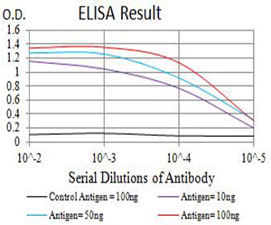 CHRNA5 Antibody - Black line: Control Antigen (100 ng);Purple line: Antigen (10ng); Blue line: Antigen (50 ng); Red line:Antigen (100 ng)