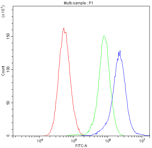 CHRNA5 Antibody - Flow Cytometry analysis of U251 cells using anti-CHRNA5 antibody. Overlay histogram showing U251 cells stained with anti-CHRNA5 antibody (Blue line). The cells were blocked with 10% normal goat serum. And then incubated with rabbit anti-CHRNA5 Antibody (1µg/10E6 cells) for 30 min at 20°C. DyLight®488 conjugated goat anti-rabbit IgG (5-10µg/10E6 cells) was used as secondary antibody for 30 minutes at 20°C. Isotype control antibody (Green line) was rabbit IgG (1µg/10E6 cells) used under the same conditions. Unlabelled sample (Red line) was also used as a control.