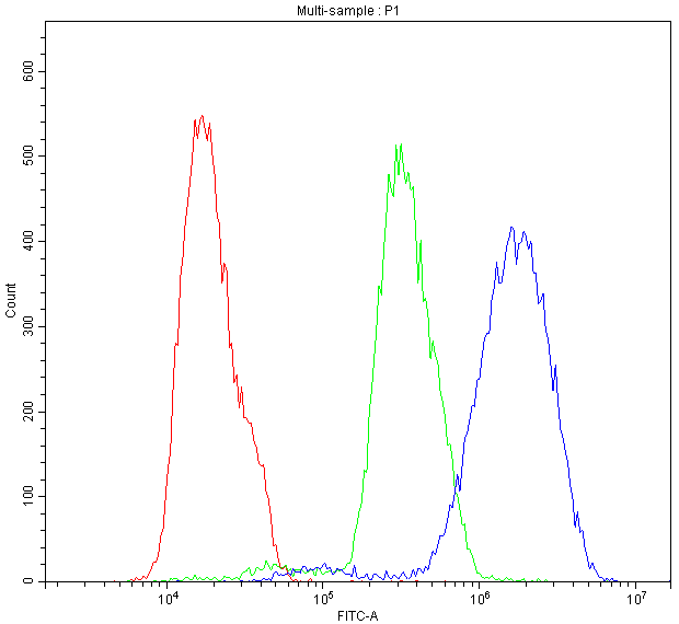 CHRNA5 Antibody - Flow Cytometry analysis of MCF-7 cells using anti-CHRNA5 antibody. Overlay histogram showing MCF-7 cells stained with anti-CHRNA5 antibody (Blue line). The cells were blocked with 10% normal goat serum. And then incubated with rabbit anti-CHRNA5 Antibody (1µg/10E6 cells) for 30 min at 20°C. DyLight®488 conjugated goat anti-rabbit IgG (5-10µg/10E6 cells) was used as secondary antibody for 30 minutes at 20°C. Isotype control antibody (Green line) was rabbit IgG (1µg/10E6 cells) used under the same conditions. Unlabelled sample (Red line) was also used as a control.