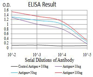 CHRNA6 Antibody - Black line: Control Antigen (100 ng);Purple line: Antigen (10ng); Blue line: Antigen (50 ng); Red line:Antigen (100 ng)