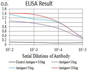 CHRNA7 Antibody - Black line: Control Antigen (100 ng);Purple line: Antigen (10ng); Blue line: Antigen (50 ng); Red line:Antigen (100 ng)