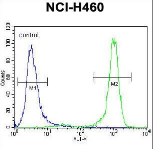 CHRND Antibody - CHRND Antibody flow cytometry of NCI-H460 cells (right histogram) compared to a negative control cell (left histogram). FITC-conjugated goat-anti-rabbit secondary antibodies were used for the analysis.