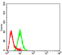 CHRND Antibody - Flow cytometric analysis of SK-N-SH cells using CHRND mouse mAb (green) and negative control (red).