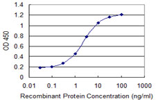 CHRNE Antibody - Detection limit for recombinant GST tagged CHRNE is 0.1 ng/ml as a capture antibody.