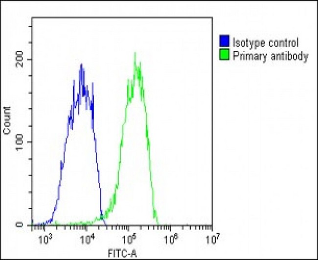 CHRNE Antibody - Overlay histogram showing HepG2 cells stained with CHRNE Antibody (Center) (green line). The cells were fixed with 2% paraformaldehyde (10 min). The cells were then icubated in 2% bovine serum albumin to block non-specific protein-protein interactions followed by the antibody (CHRNE Antibody (Center), 1:25 dilution) for 60 min at 37°C. The secondary antibody used was Goat-Anti-Rabbit IgG, DyLight® 488 Conjugated Highly Cross-Adsorbed (1583138) at 1/200 dilution for 40 min at 37°C. Isotype control antibody (blue line) was rabbit IgG1 (1µg/1x10^6 cells) used under the same conditions. Acquisition of >10, 000 events was performed.