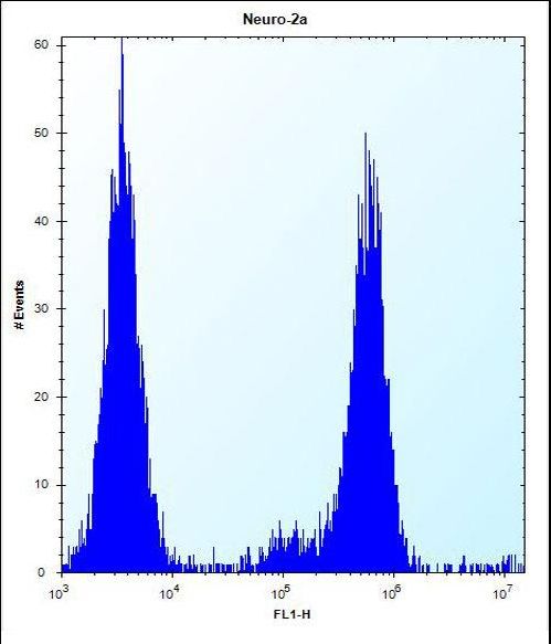 CHSY1 Antibody - CHSY1 Antibody flow cytometry of Neuro-2a cells (right histogram) compared to a negative control cell (left histogram). FITC-conjugated donkey-anti-rabbit secondary antibodies were used for the analysis.