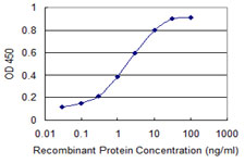 CHUK / IKKA / IKK Alpha Antibody - Detection limit for recombinant GST tagged CHUK is 0.03 ng/ml as a capture antibody.