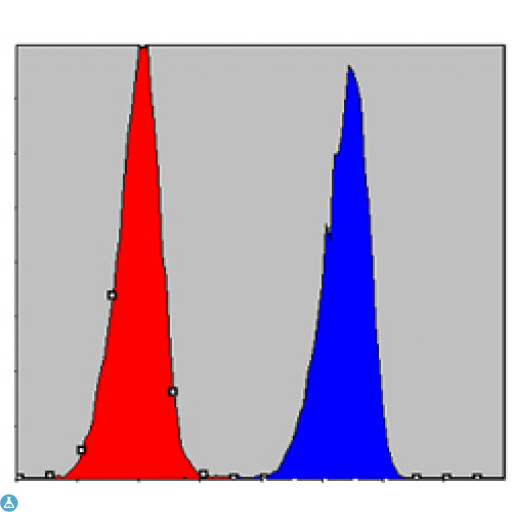 CHUK / IKKA / IKK Alpha Antibody - Flow cytometric (FCM) analysis of A549 cells using IKKalpha Monoclonal Antibody (blue) and negative control (red).