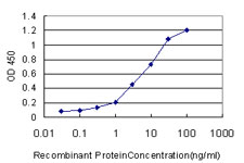 CIDEB Antibody - Detection limit for recombinant GST tagged CIDEB is approximately 0.3 ng/ml as a capture antibody.