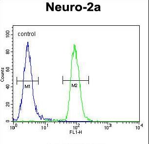 CIRH1A Antibody - CIRH1A Antibody flow cytometry of Neuro-2a cells (right histogram) compared to a negative control cell (left histogram). FITC-conjugated goat-anti-rabbit secondary antibodies were used for the analysis.