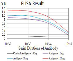 CIRP / CIRBP Antibody - Black line: Control Antigen (100 ng);Purple line: Antigen (10ng); Blue line: Antigen (50 ng); Red line:Antigen (100 ng)