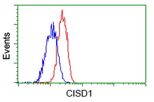 CISD1 Antibody - Flow cytometric Analysis of Jurkat cells, using anti-CISD1 antibody, (Red), compared to a nonspecific negative control antibody, (Blue).