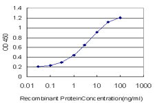 CITED1 Antibody - Detection limit for recombinant GST tagged CITED1 is approximately 0.03 ng/ml as a capture antibody.