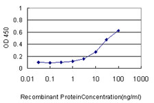 CKS1B / CKS1 Antibody - Detection limit for recombinant GST tagged CKS1B is approximately 3 ng/ml as a capture antibody.