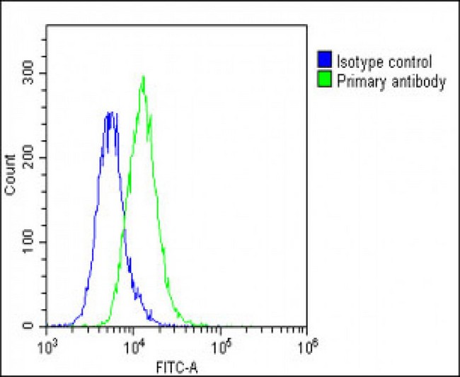 CKS2 Antibody - Overlay histogram showing A549 cells stained with CKS2 Antibody (C-Term) (green line). The cells were fixed with 2% paraformaldehyde (10 min) and then permeabilized with 90% methanol for 10 min. The cells were then icubated in 2% bovine serum albumin to block non-specific protein-protein interactions followed by the antibody (CKS2 Antibody (C-Term), 1:25 dilution) for 60 min at 37°C. The secondary antibody used was Goat-Anti-Rabbit IgG, DyLight® 488 Conjugated Highly Cross-Adsorbed (1583138) at 1/200 dilution for 40 min at 37°C. Isotype control antibody (blue line) was rabbit IgG1 (1µg/1x10^6 cells) used under the same conditions. Acquisition of >10, 000 events was performed.