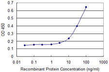 CKS2 Antibody - Detection limit for recombinant GST tagged CKS2 is approximately 3 ng/ml as a capture antibody.