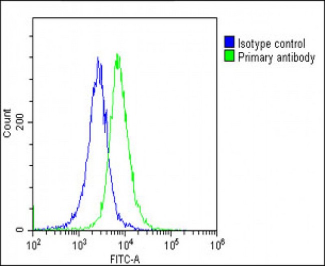 CKS2 Antibody - Overlay histogram showing HeLa cells stained with CKS2 Antibody (N-Term) (green line). The cells were fixed with 2% paraformaldehyde (10 min) and then permeabilized with 90% methanol for 10 min. The cells were then icubated in 2% bovine serum albumin to block non-specific protein-protein interactions followed by the antibody (CKS2 Antibody (N-Term), 1:25 dilution) for 60 min at 37°C. The secondary antibody used was Goat-Anti-Rabbit IgG, DyLight® 488 Conjugated Highly Cross-Adsorbed (OE188374) at 1/200 dilution for 40 min at 37°C. Isotype control antibody (blue line) was rabbit IgG1 (1µg/1x10^6 cells) used under the same conditions. Acquisition of >10, 000 events was performed.