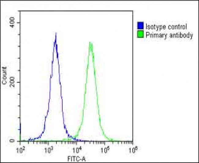 CLCN1 / CLC-1 Antibody - Overlay histogram showing Hela cells stained with CLCN1 Antibody (N-Term) (green line). The cells were fixed with 2% paraformaldehyde (10 min) and then permeabilized with 90% methanol for 10 min. The cells were then icubated in 2% bovine serum albumin to block non-specific protein-protein interactions followed by the antibody (CLCN1 Antibody (N-Term), 1:25 dilution) for 60 min at 37°C. The secondary antibody used was Goat-Anti-Rabbit IgG, DyLight® 488 Conjugated Highly Cross-Adsorbed (1583138) at 1/200 dilution for 40 min at 37°C. Isotype control antibody (blue line) was rabbit IgG1 (1µg/1x10^6 cells) used under the same conditions. Acquisition of >10, 000 events was performed.