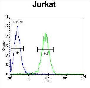 CLDN22 / Claudin 22 Antibody - CLDN22 Antibody flow cytometry of Jurkat cells (right histogram) compared to a negative control cell (left histogram). FITC-conjugated goat-anti-rabbit secondary antibodies were used for the analysis.