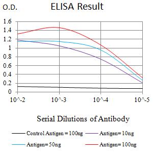 CLEC10A / CD301 Antibody - Black line: Control Antigen (100 ng);Purple line: Antigen (10ng); Blue line: Antigen (50 ng); Red line:Antigen (100 ng)