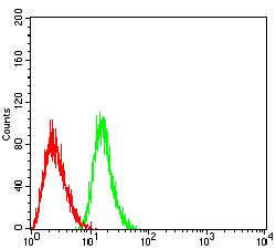 CLEC10A / CD301 Antibody - Flow cytometric analysis of HL-60 cells using CD301 mouse mAb (green) and negative control (red).