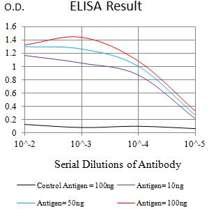 CLEC12A / CD371 Antibody - Black line: Control Antigen (100 ng);Purple line: Antigen (10ng); Blue line: Antigen (50 ng); Red line:Antigen (100 ng)
