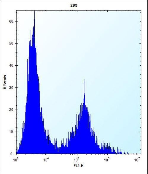 CLEC3B / Tetranectin Antibody - CLEC3B Antibody flow cytometry of 293 cells (right histogram) compared to a negative control cell (left histogram). FITC-conjugated goat-anti-rabbit secondary antibodies were used for the analysis.