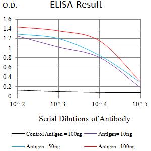 CLEC7A / Dectin 1 Antibody - Black line: Control Antigen (100 ng);Purple line: Antigen (10ng); Blue line: Antigen (50 ng); Red line:Antigen (100 ng)