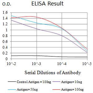 CLECSF6 / DCIR Antibody - Black line: Control Antigen (100 ng);Purple line: Antigen (10ng); Blue line: Antigen (50 ng); Red line:Antigen (100 ng)