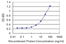 CLINT1 Antibody - Detection limit for recombinant GST tagged CLINT1 is 0.3 ng/ml as a capture antibody.