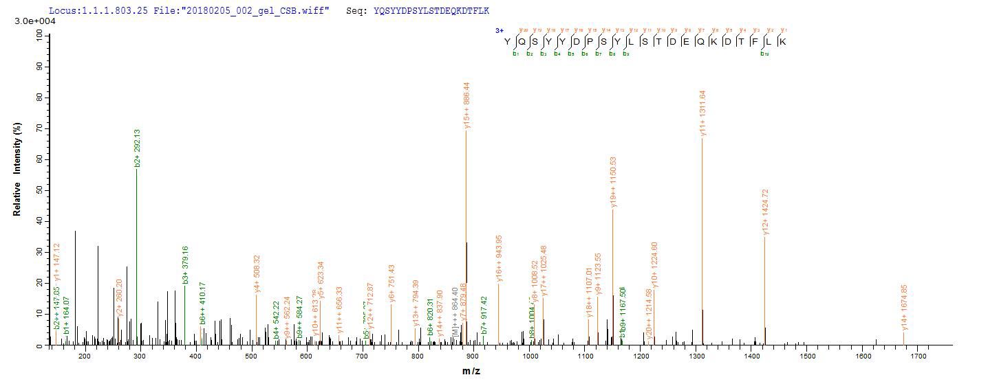botD Protein - Based on the SEQUEST from database of E.coli host and target protein, the LC-MS/MS Analysis result of Recombinant Clostridium botulinum Botulinum neurotoxin type D(botD),partial could indicate that this peptide derived from E.coli-expressed Clostridium botulinum botD.
