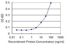 CLPP Antibody - Detection limit for recombinant GST tagged CLPP is 1 ng/ml as a capture antibody.