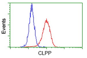 CLPP Antibody - Flow cytometry of HeLa cells, using anti-CLPP antibody, (Red), compared to a nonspecific negative control antibody, (Blue).